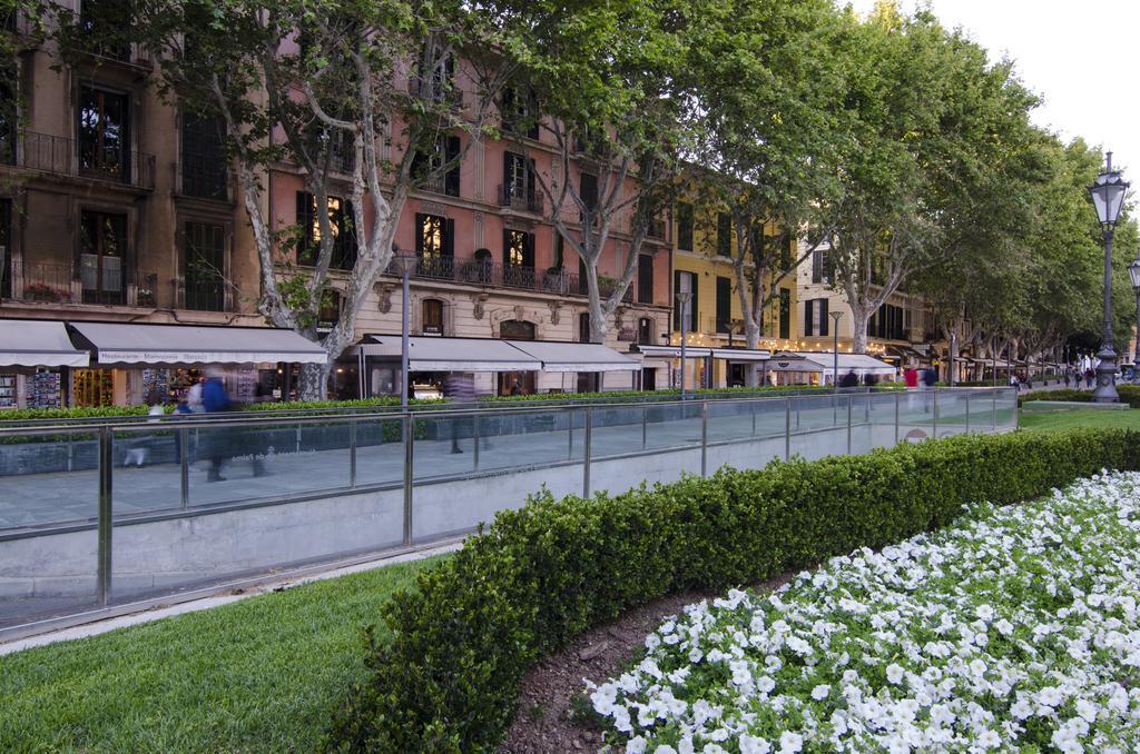 Remolars 3 - Turismo De Interior Palma